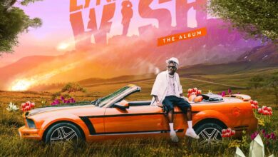 Photo of Davolee Unlocks New Levels with 15 Solid Tracks Debut Album “Earning Wish”